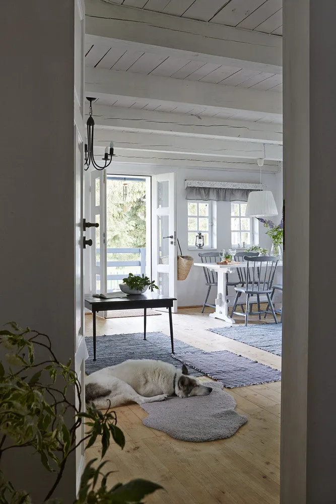 照片:普罗旺斯与乡村风格客厅,北欧风格,室内装饰,房屋,白色,木屋,米色,蓝色,波兰,家居与木屋——我们网站上的照片