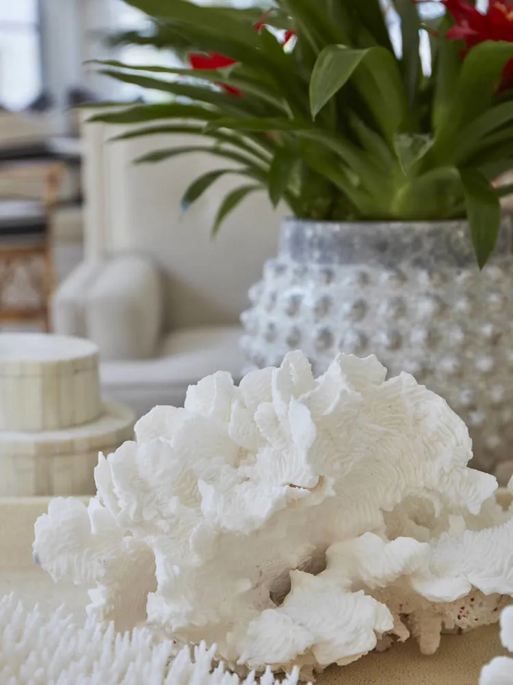 照片：海边风格，室内装饰，房屋，小屋，房屋和小屋——我们网站上的照片