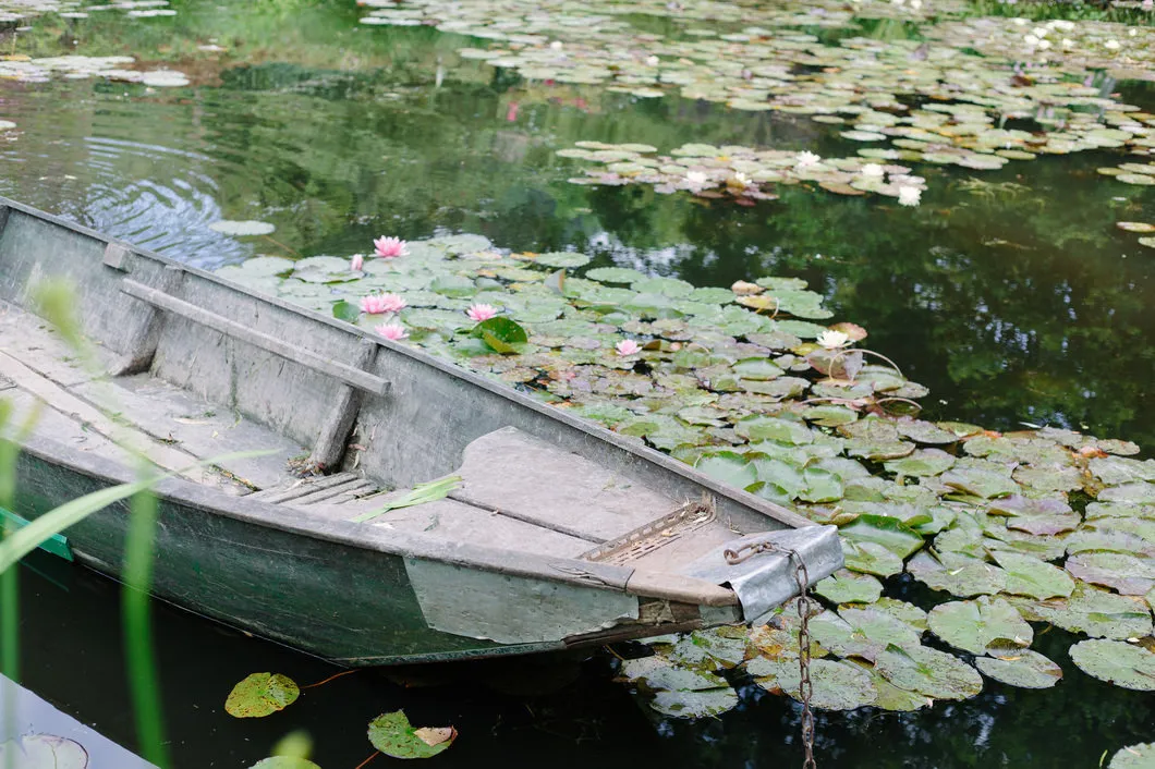 照片：现代风格， – 我们网站上的照片