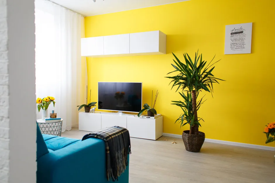 设计：Irina Sobylenskaya