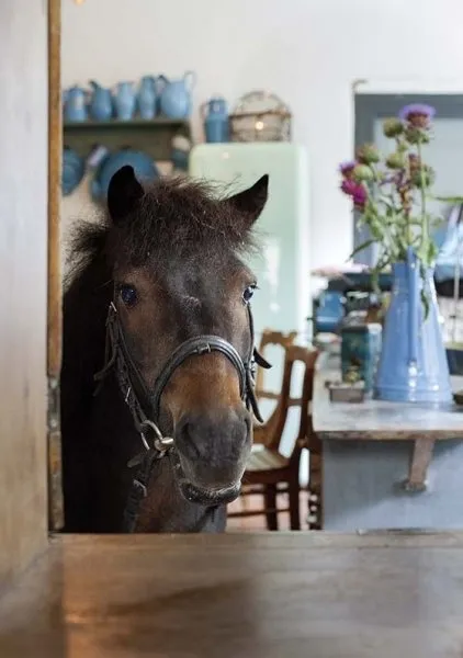Zdjęcie: w stylu , Dom, Dom i dachówka – zdjęcia na naszej stronie