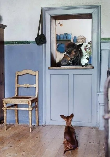 Zdjęcie: Przedpokój w stylu Prowans i Kантри, Dom, Dom i dachówka – zdjęcia na naszej stronie