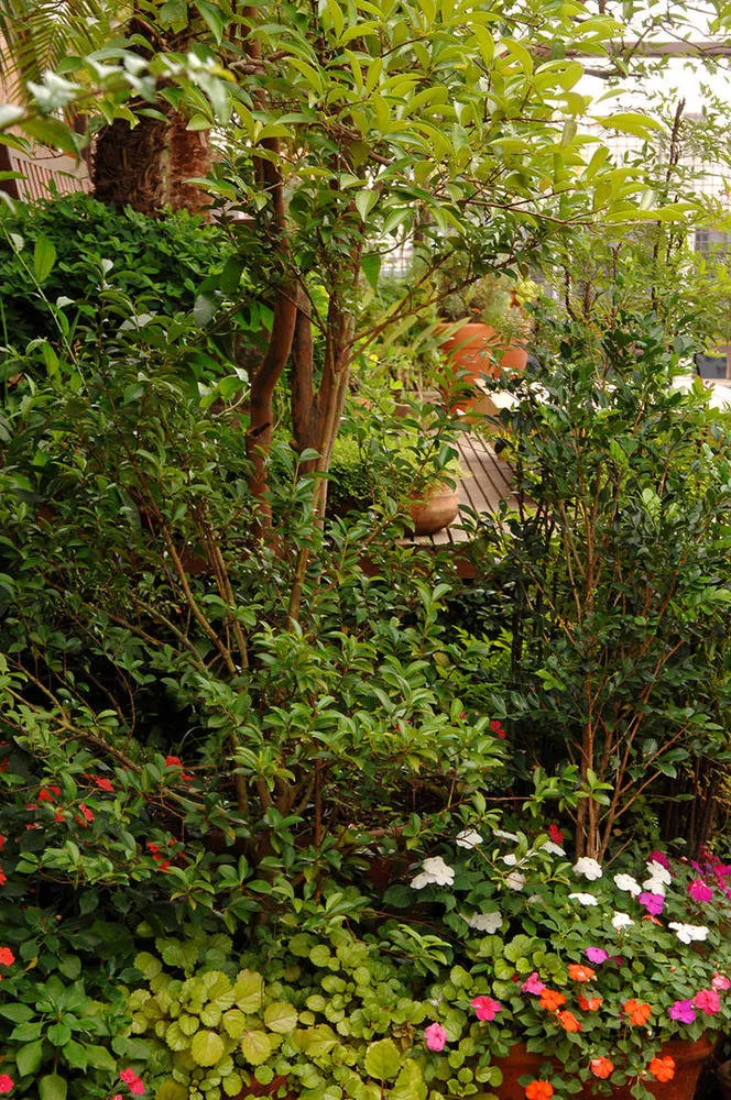 Photo : en style , Décoration d'intérieur – photo sur notre site