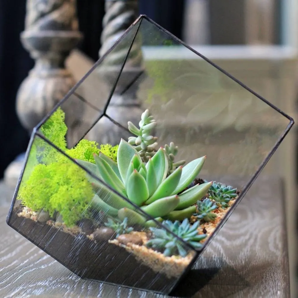 照片:花卉设计风格,指南,Welcome Studio – 我们网站上的照片