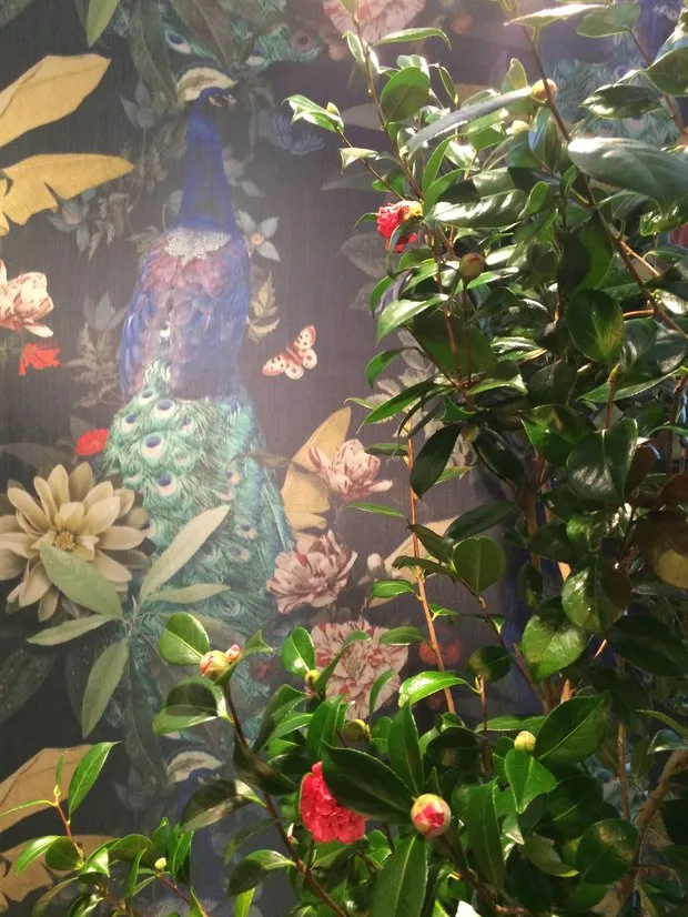 热带丛林——不仅是旅行者的梦境，更是一种时尚趋势