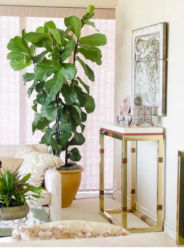 照片:北欧风格客厅,室内装饰,绿色,室内盆栽植物,浴室室内植物 – 来自我们网站的照片