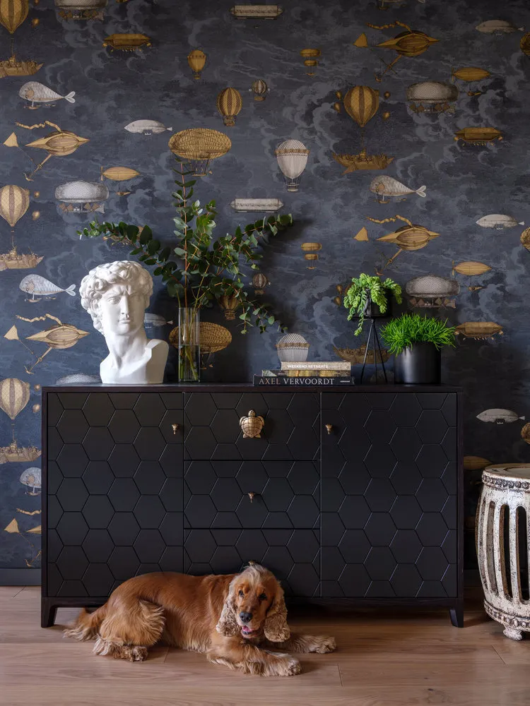 Foto: im Stil , Küche und Esszimmer, Wohnzimmer, Guide, Haustiere, Haustierhaustiere – Fotos auf unserer Website