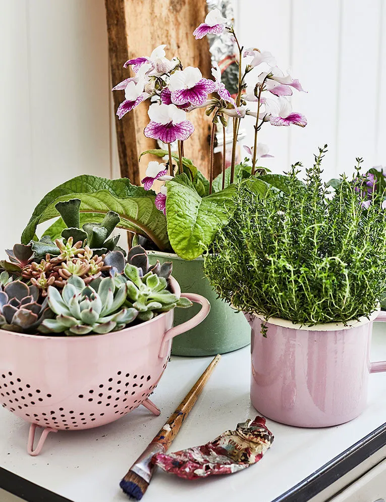 照片:花艺风格,室内装饰,绿色,室内盆栽植物,浴室室内植物 – 来自我们网站的照片