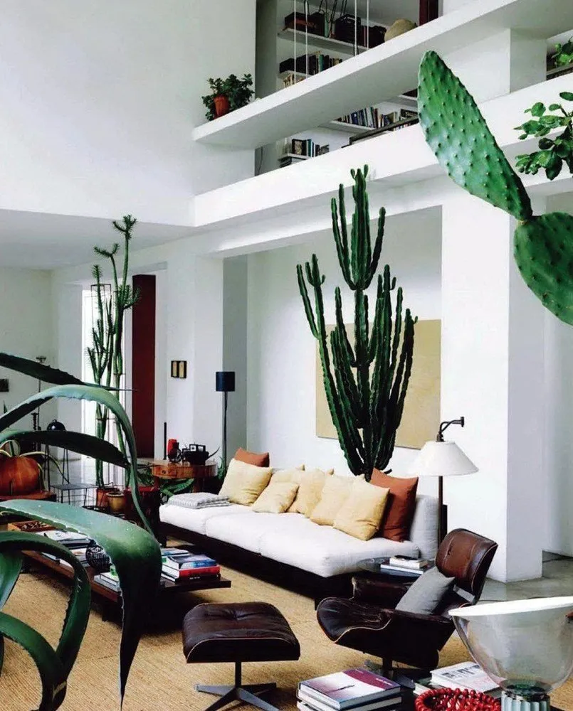 照片:现代时尚风格,室内装饰,绿色,室内盆栽植物,浴室室内植物 – 来自我们网站的照片