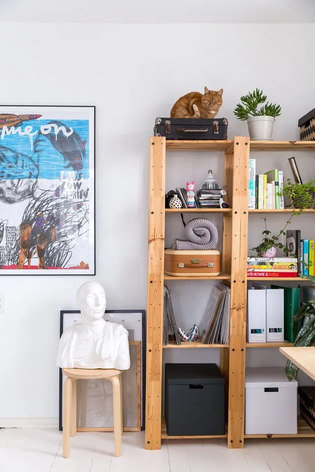 Foto: im Stil , Küche und Esszimmer, Wohnzimmer, Guide, Haustiere, Haustierhaustiere – Fotos auf unserer Website