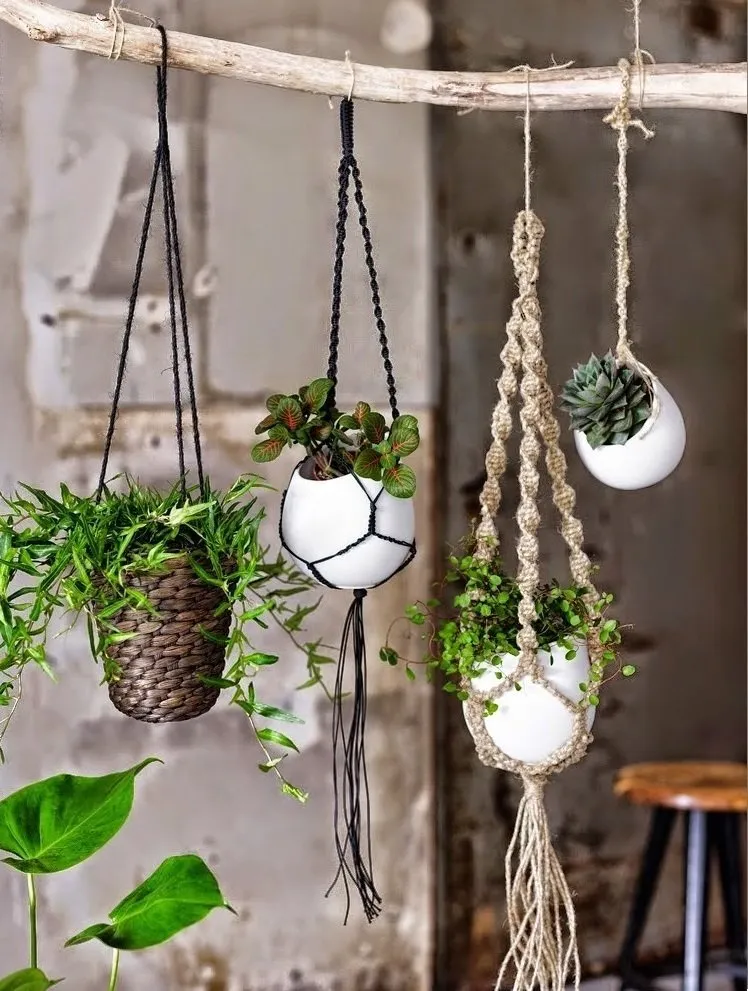 照片:花艺风格,室内装饰,绿色,室内盆栽植物,浴室室内植物 – 来自我们网站的照片