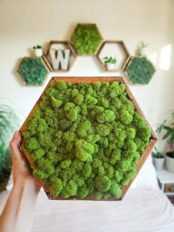 照片：生态风格，室内装饰，小贴士——我们网站上的照片