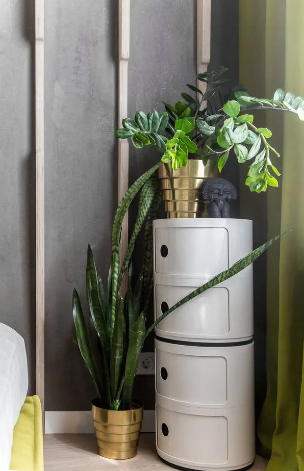 Дизайн: Иван Поздняков