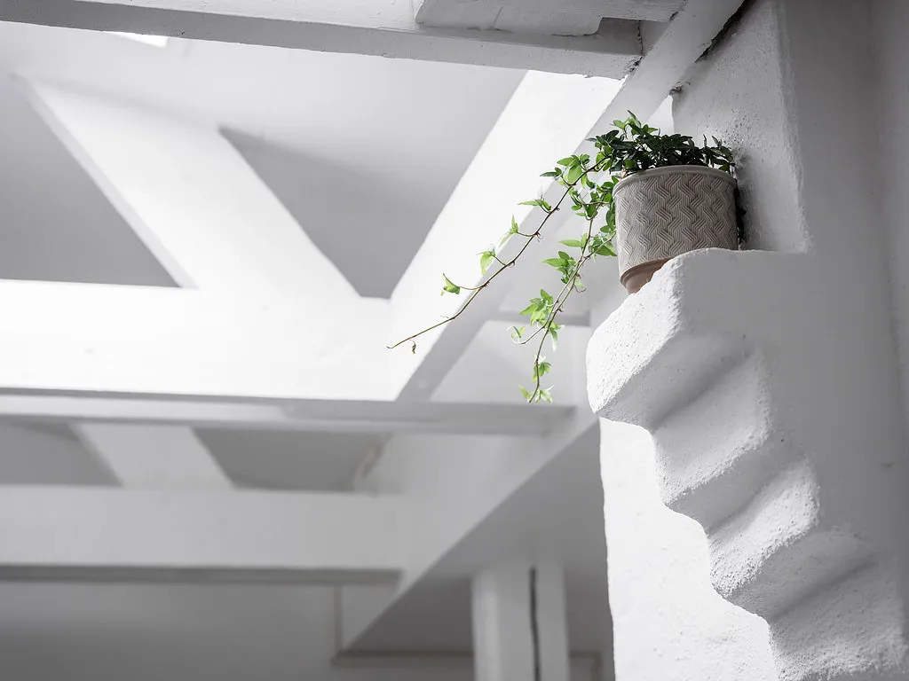 照片:北欧风格装饰品,室内装饰,公寓,工作室,白色,砖房,不超过40平方米 – 我们网站上的照片