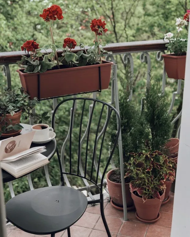 Foto: en estilo , Rediseño – fotos en nuestro sitio web