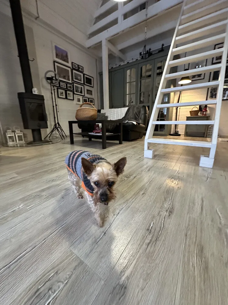 Foto: im Stil von, Haus, Ferienhaus, Renovierung in der Praxis, Haus und Ferienhaus – Fotos auf unserer Website