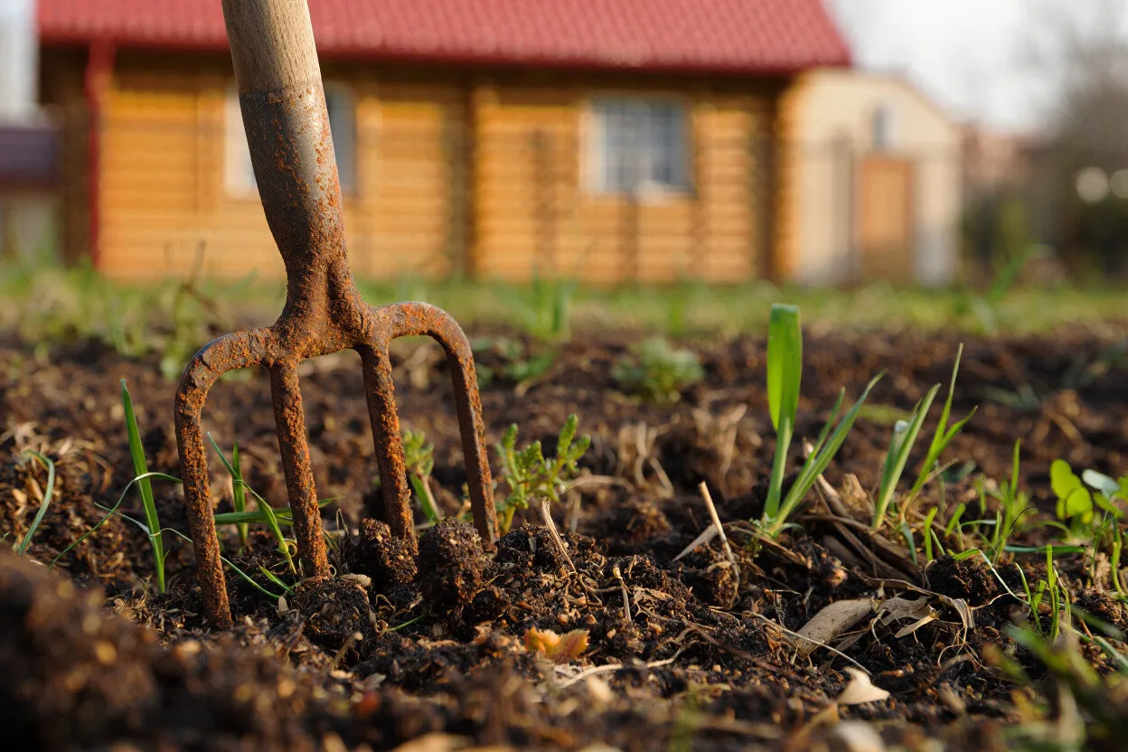 Photo : style, travail en jardin en septembre, travaux de jardinage, LIFESTYLE, affaires importantes à la ferme, comment préparer le jardin pour l'hiver, ce qu'il faut faire au jardin en automne, Est-il nécessaire de remuer le jardin en automne, culture du jardin, travaux agricoles, raffinement, raffinement des terres, pourquoi remuer le sol – photo sur notre site
