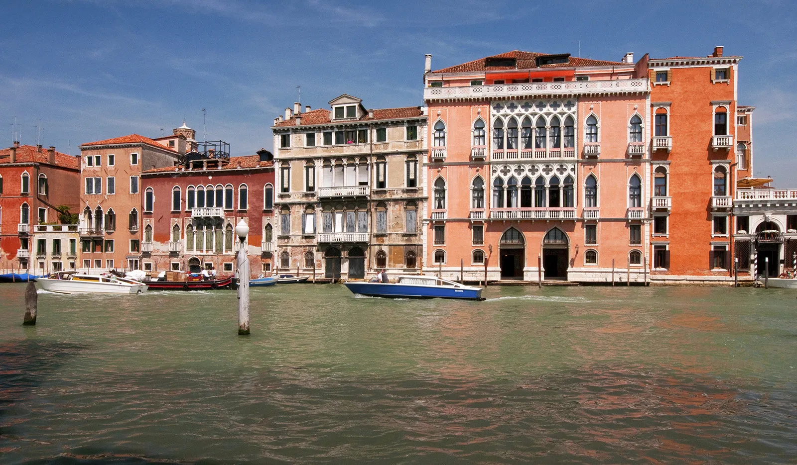 照片：Living Coral, 建筑学, 指南 – 我们网站上的照片