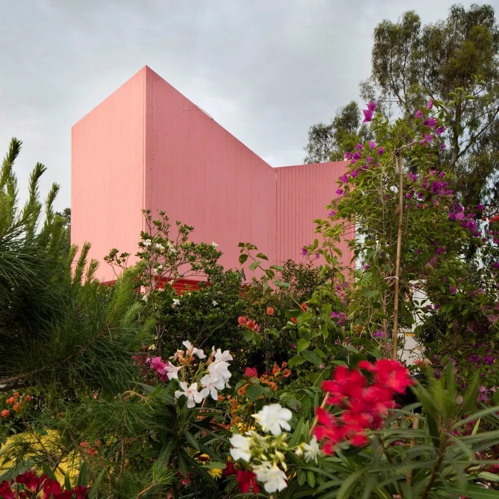 照片：Living Coral, 建筑学, 指南 – 我们网站上的照片