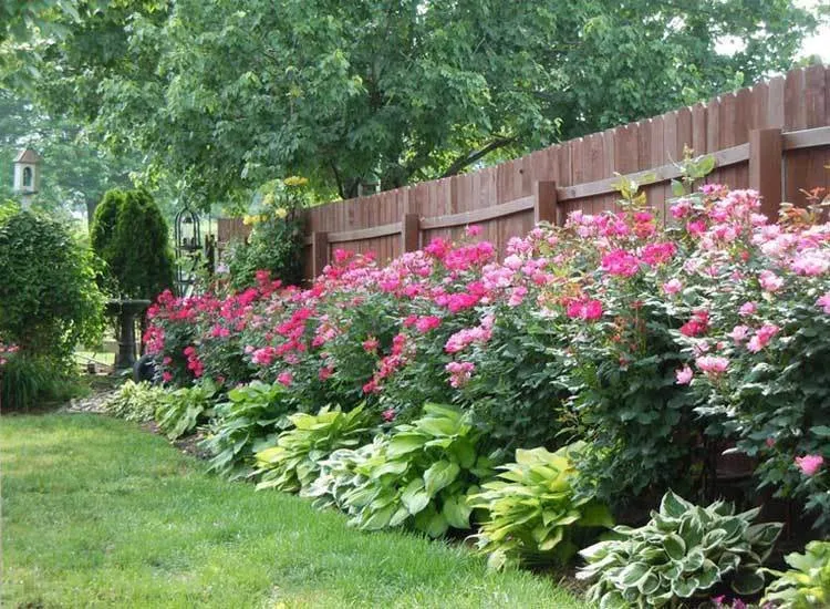 照片：风格景观，建议，房屋与别墅，伊利亚·门祖诺夫 – 我们网站上的照片