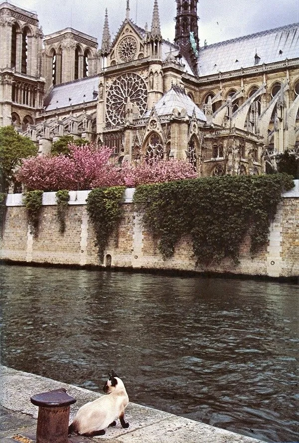 图片:风格,建筑,巴黎,Gid – 我们网站上的照片