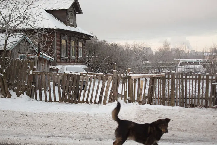 地址：特雷赫沃定居点81号建筑1