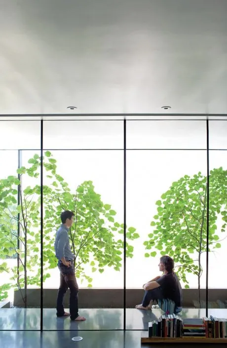 亚利桑那州的Meadowbrook房屋