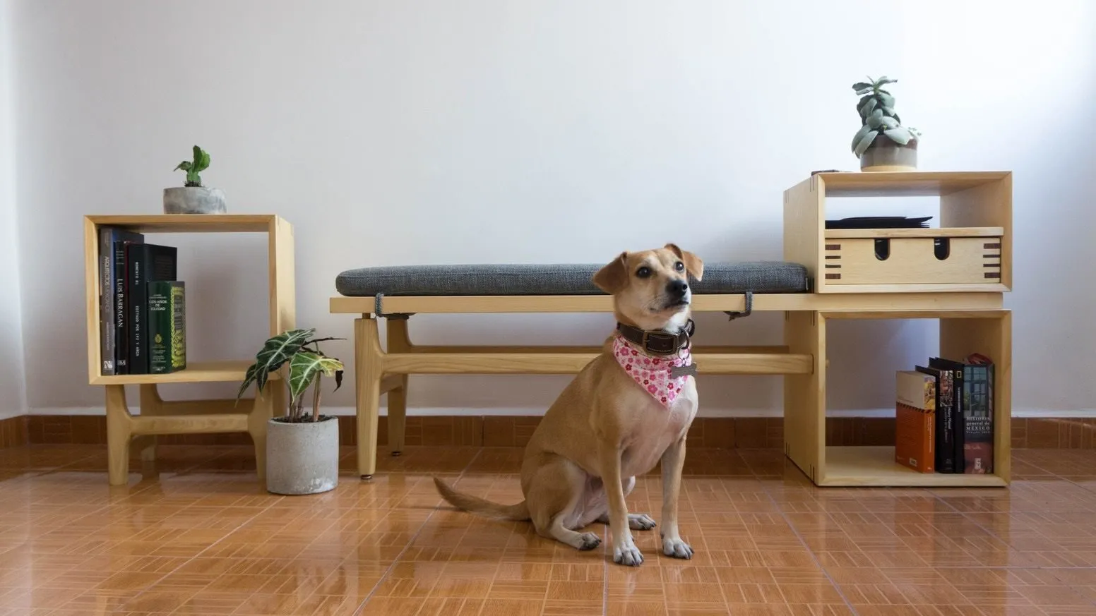 Photo: Scandinavian style decor, Guide, startup, inventions – photo on our site