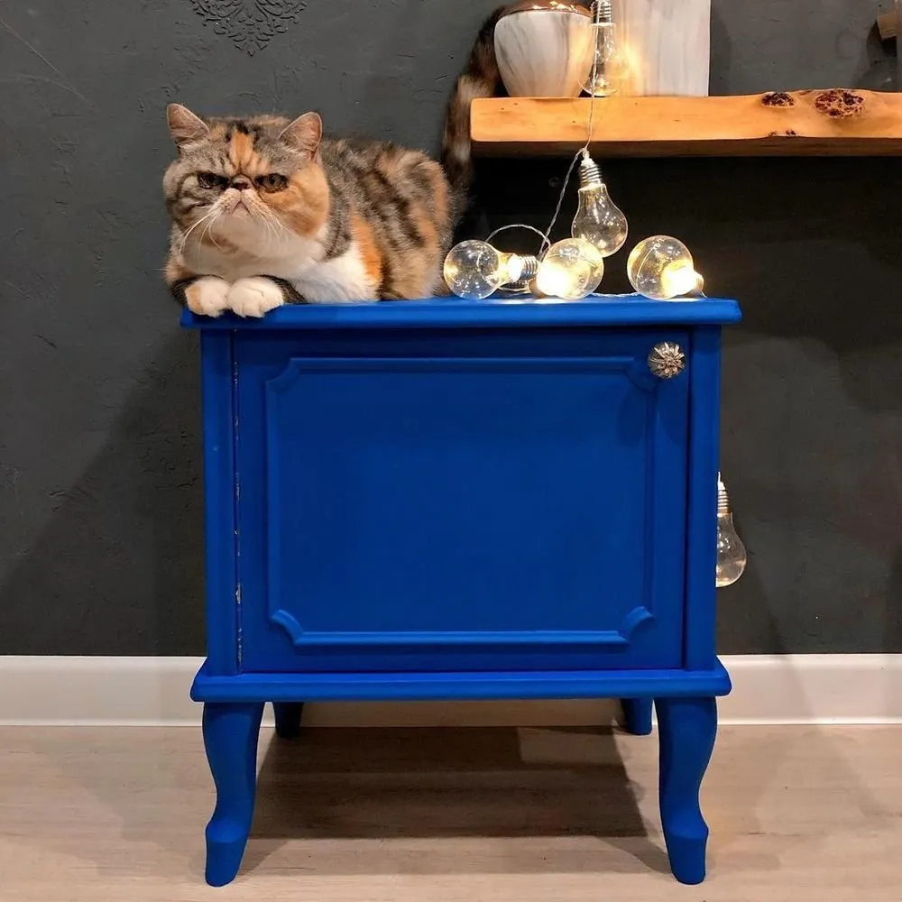 Foto: en estilo , DIY, Muebles y luz, Consejos, muebles, cómo pintar por uno mismo la cocina, puertas y muebles del mismo estilo – foto en nuestro sitio web