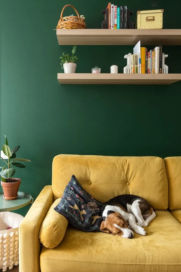 Foto: estilo , Consejos – foto en nuestro sitio web