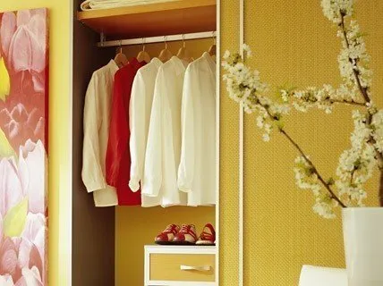 照片:现代风格衣柜,技巧——我们网站上的照片