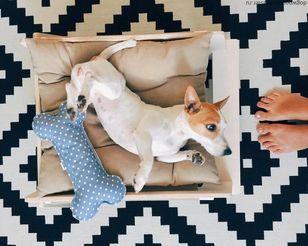 Photo: style, Tips, Guide – photo on our site