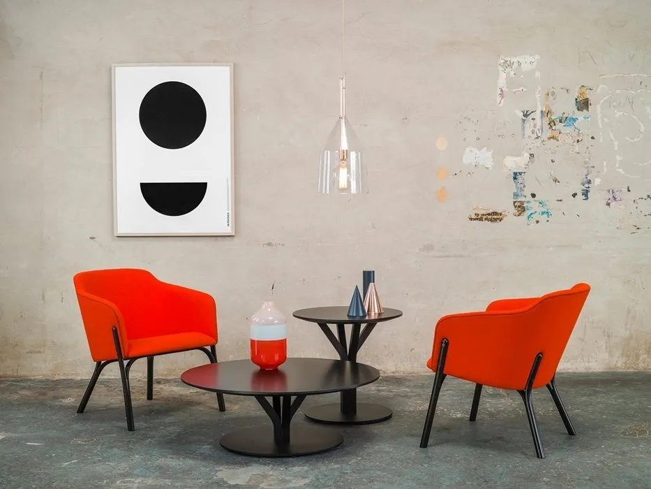 设计:阿里·列夫