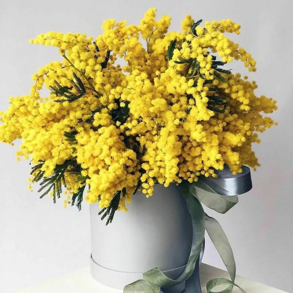 Foto: в стиле , Советы, Цветы, уход за цветами, Уход за срезанными цветиами, Букет цветов, Как продлить жизнь букета – фото на нашем сайте