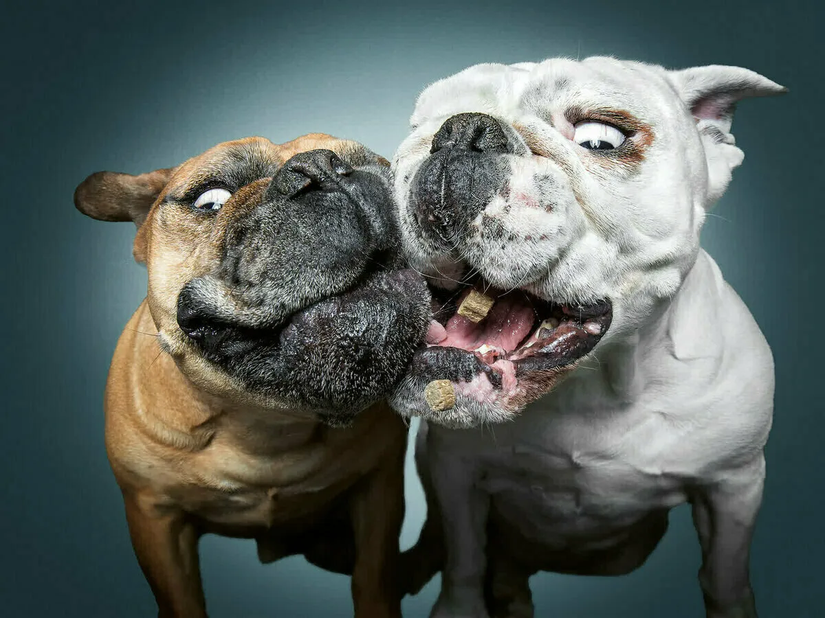 Foto: Christian Viller