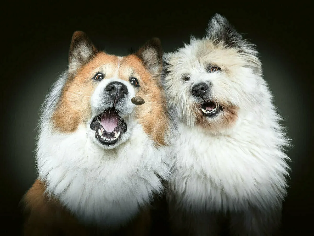 Foto: Christian Viller