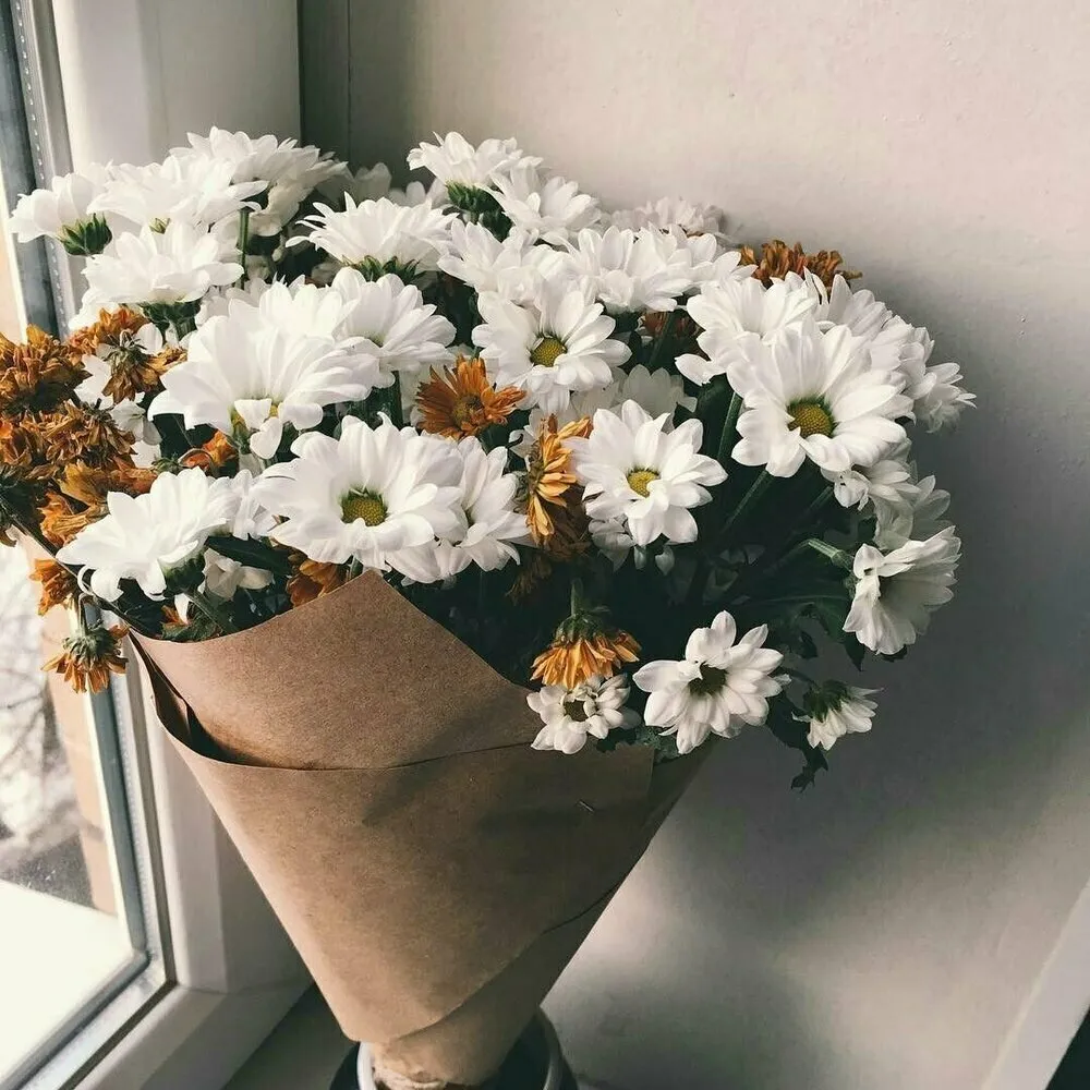 Foto: в стиле , Советы, Цветы, уход за цветами, Уход за срезанными цветиами, Букет цветов, Как продлить жизнь букета – фото на нашем сайте