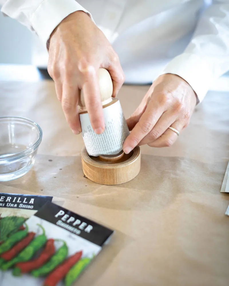 Photo: in style , Garden, Home and Dacha, DIY Garden, Plants, Plants for Dacha, Seedlings – photo on our site