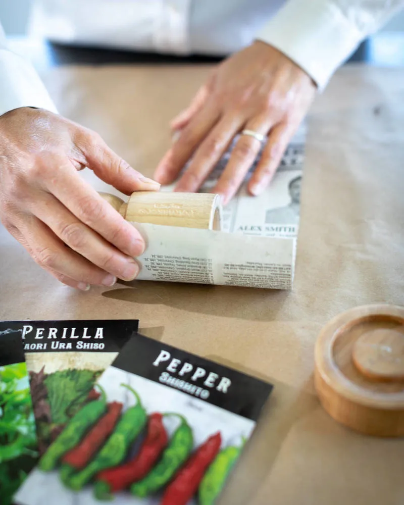 Photo: in style , Garden, Home and Dacha, DIY Garden, Plants, Plants for Dacha, Seedlings – photo on our site