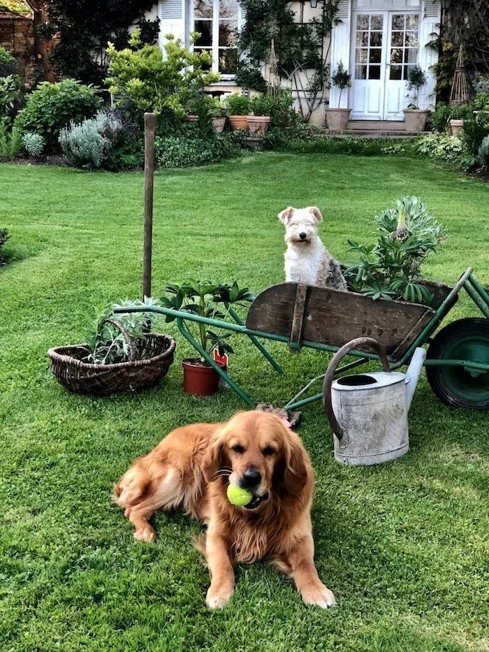 照片：风景风格，提示，法律百科全书，尤里·克柳科夫 – 我们网站上的照片