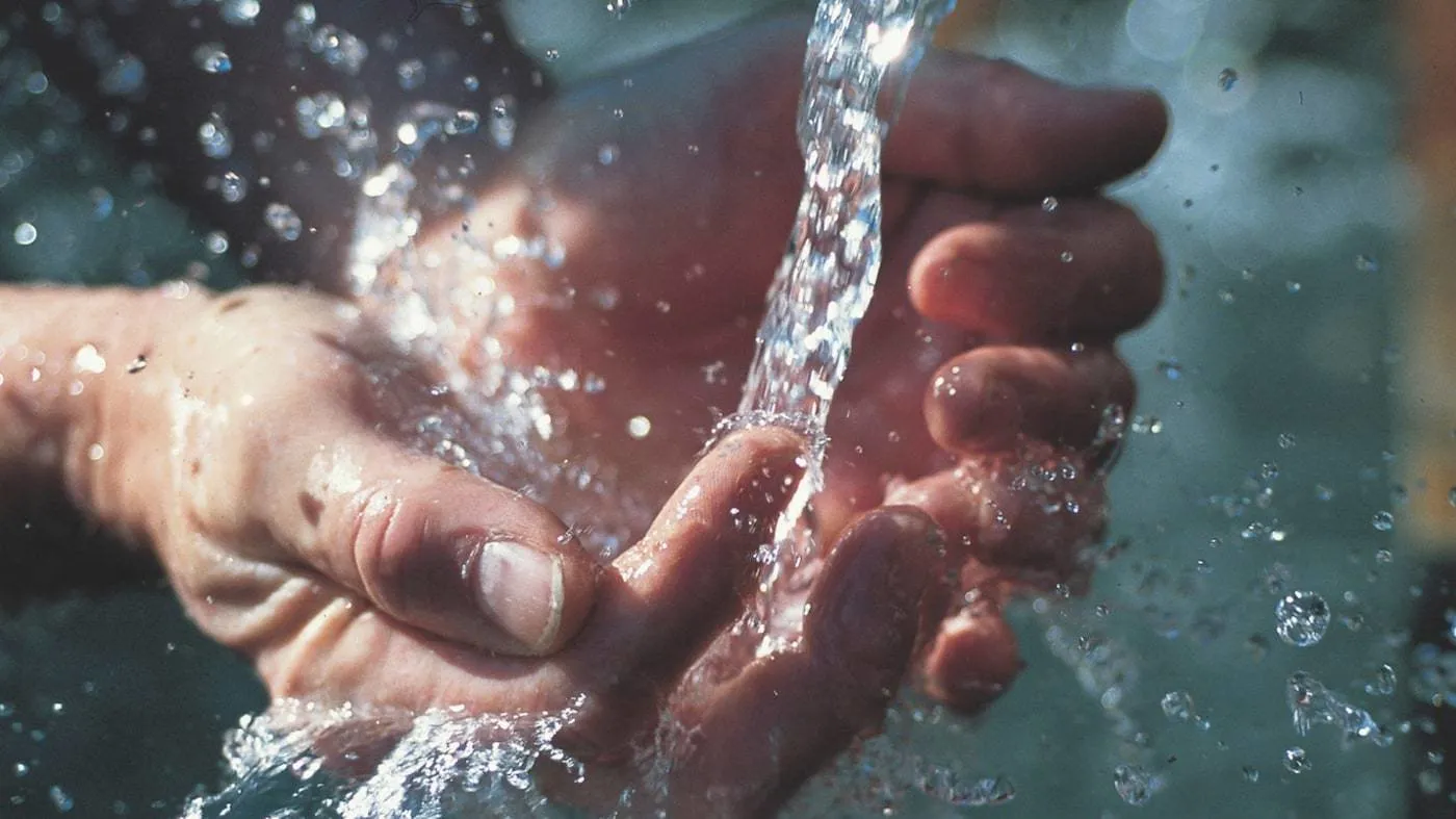 照片：风格、小贴士、生态家居、宜家、环保、如何帮助地球——我们网站上的照片
