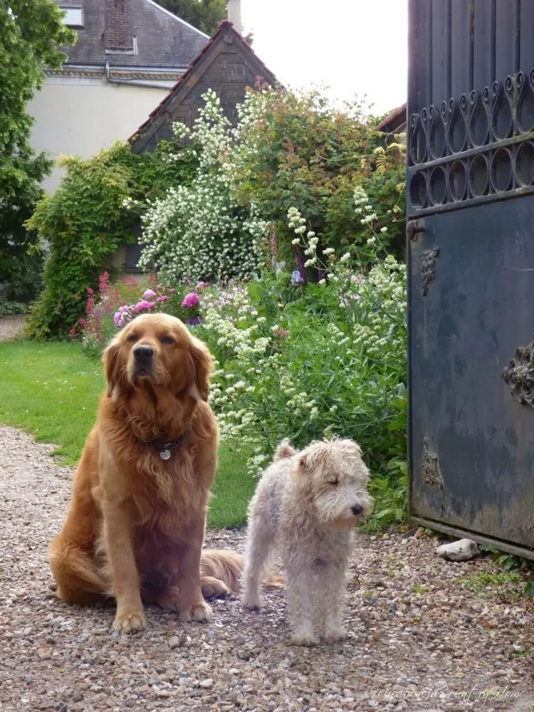 照片：风景风格，提示，法律百科全书，尤里·克柳科夫 – 我们网站上的照片