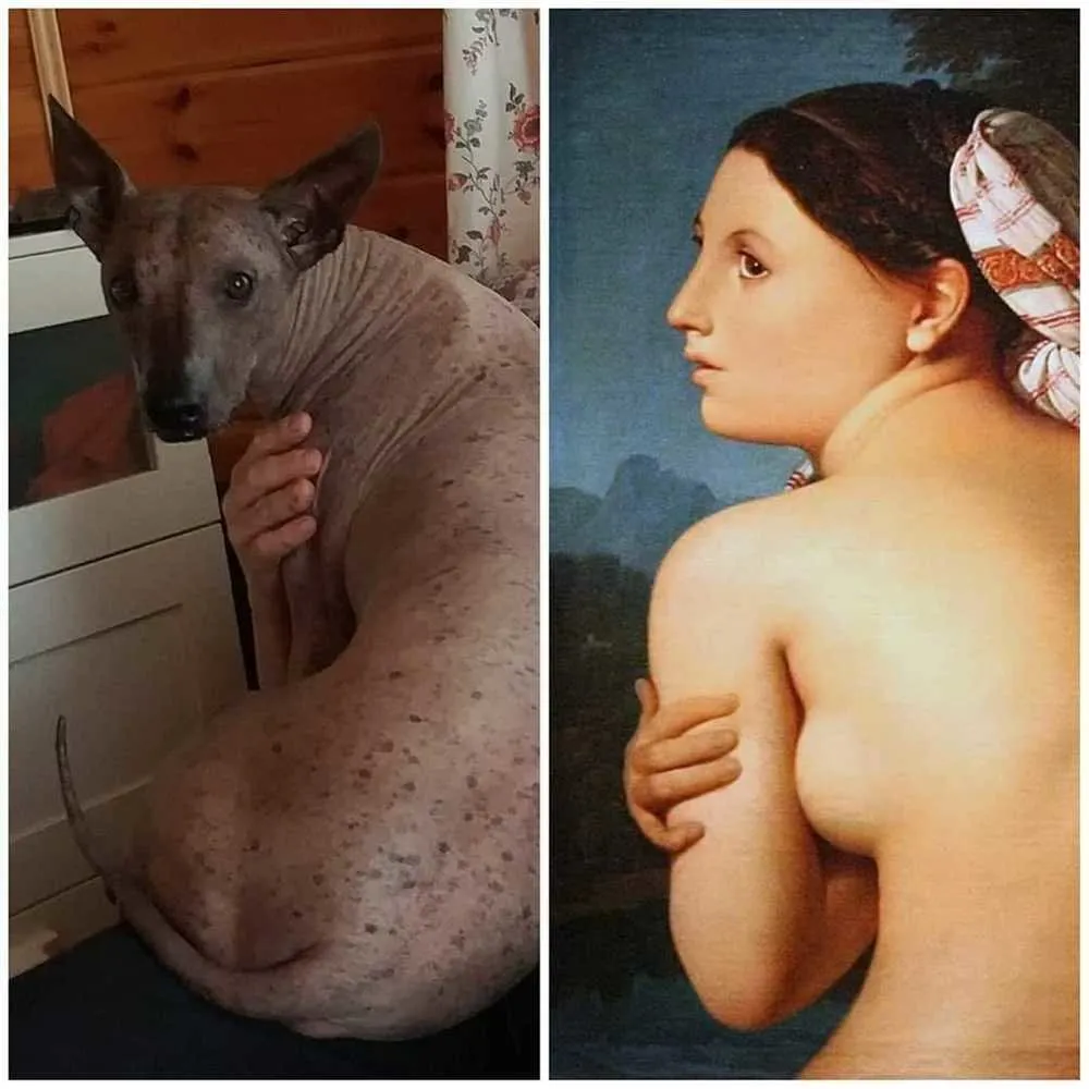 照片：叶莲娜·斯维特洛娃