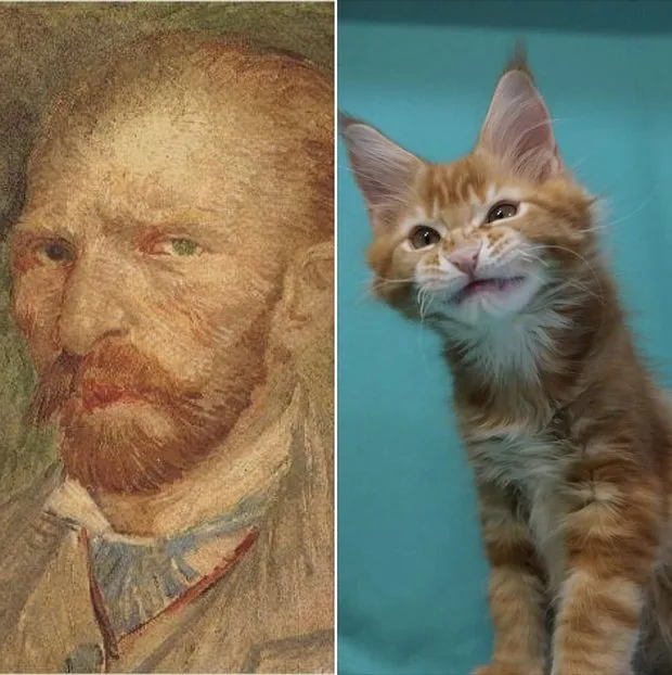 照片：尤莉亚·石