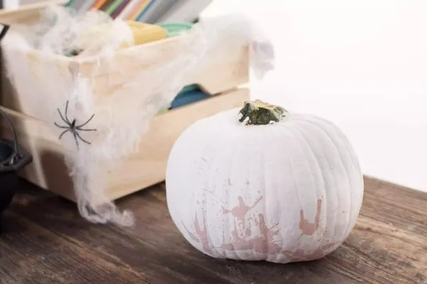 Fotoquelle: thespruce.com