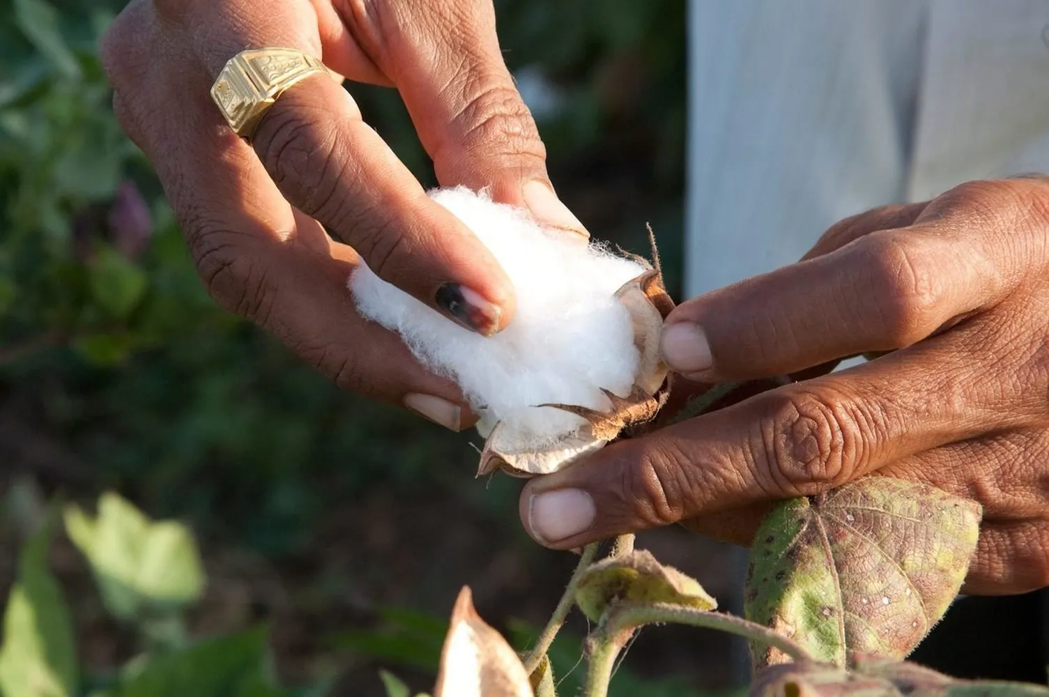 Photo: in style , Tips, large format, Marina Shalginских, Ecology, How to help the planet – photo on our website