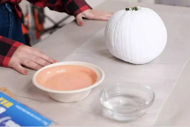 Fotoquelle: thespruce.com