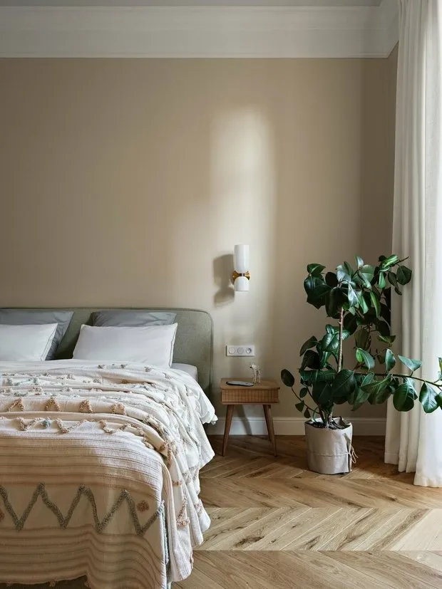 Design: Zarkua Design