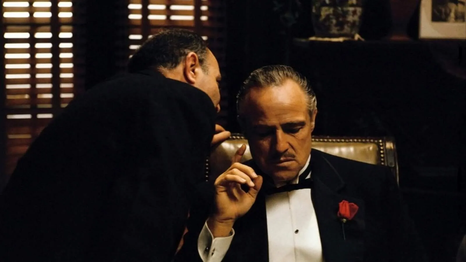 Фото с сайта: concreteplayground.com