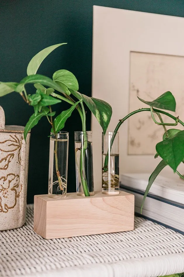 Photo: in style, Interior decoration, DIY, Floristry, Decoration, Tips, Budget decoration, Handmade decoration – photo on our website